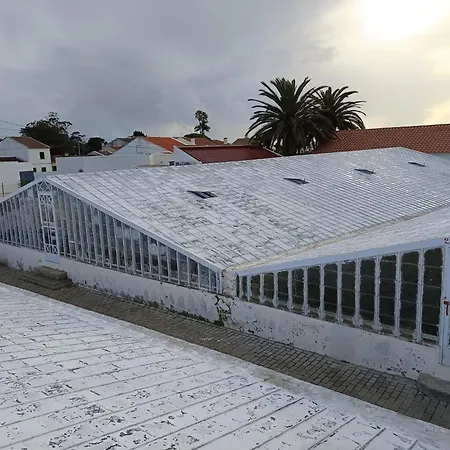 Holiday home Casa Cayenne Ponta Delgada (Sao Miguel)