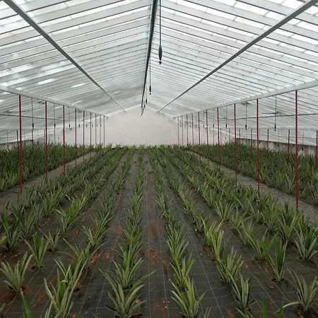 Casa vacanze Casa Cayenne *