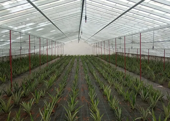 Holiday home Casa Cayenne *